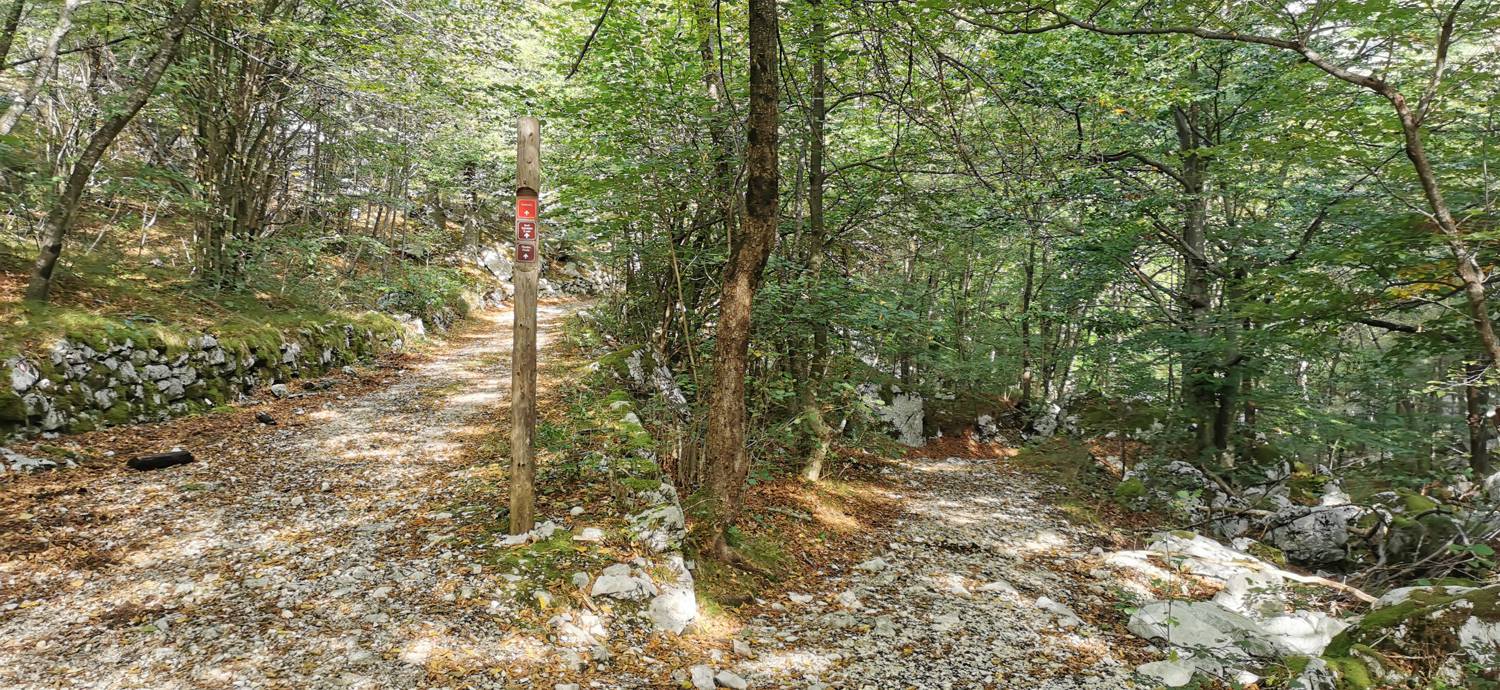 Planina Srednica - Planina Srednica slika 22