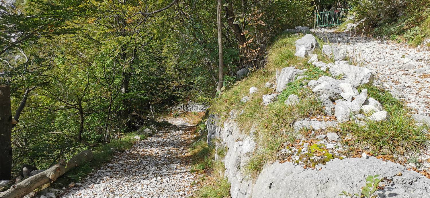 Planina Srednica - Planina Srednica slika 50