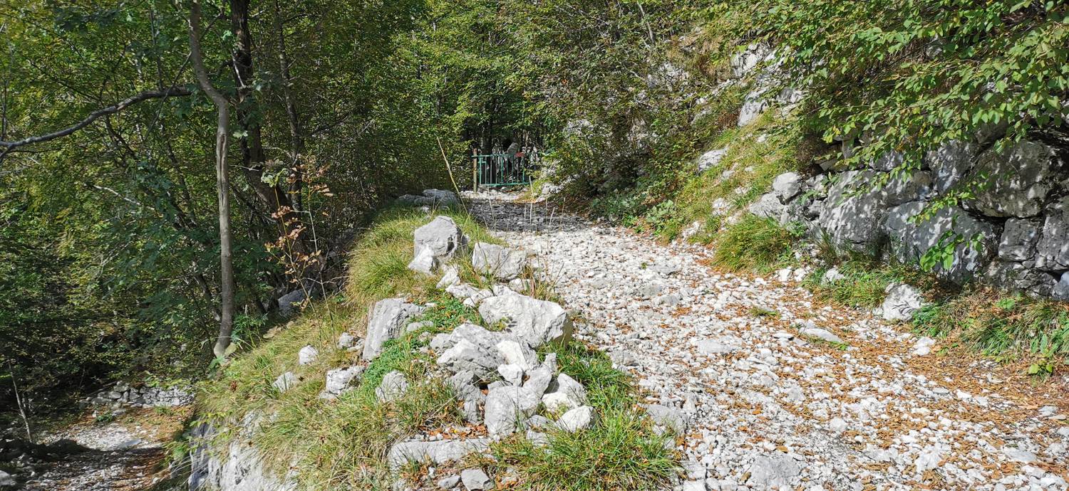 Planina Srednica - Planina Srednica slika 20