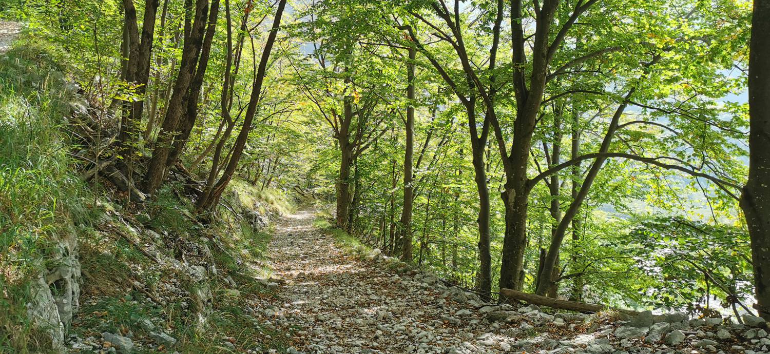 Planina Srednica - Planina Srednica slika 51