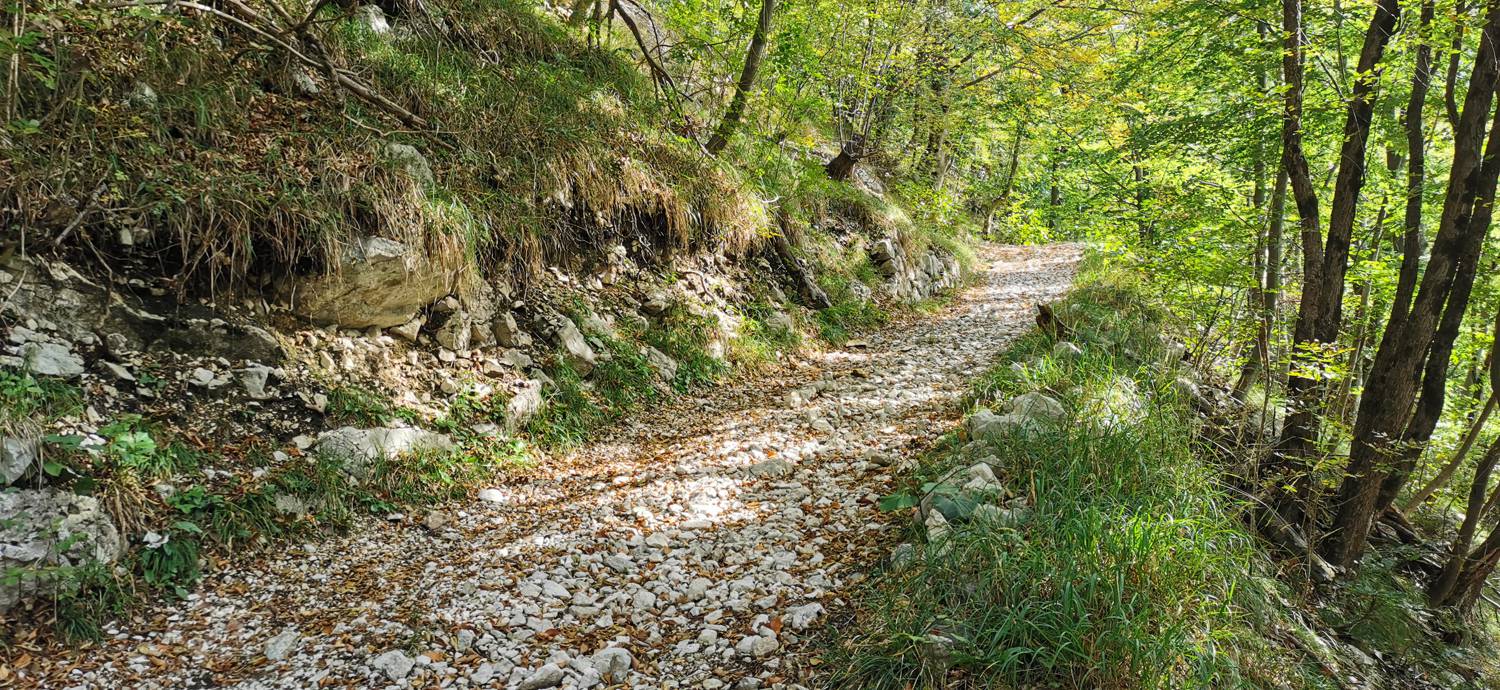 Planina Srednica - Planina Srednica slika 19