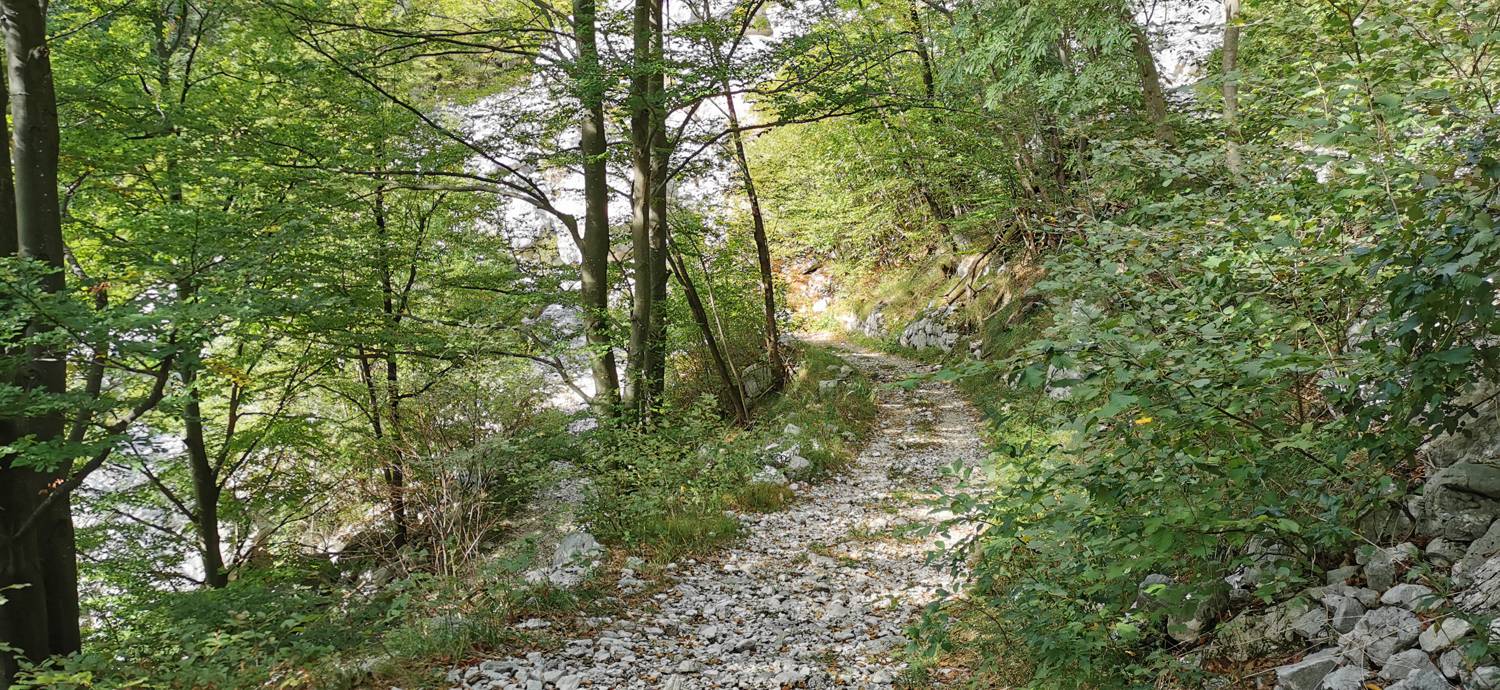 Planina Srednica - Planina Srednica slika 52
