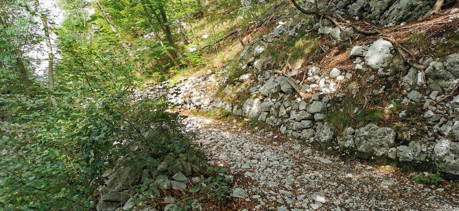 Planina Srednica - Planina Srednica slika 18