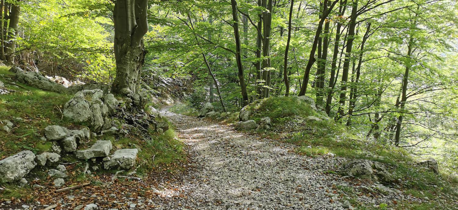Planina Srednica - Planina Srednica slika 53