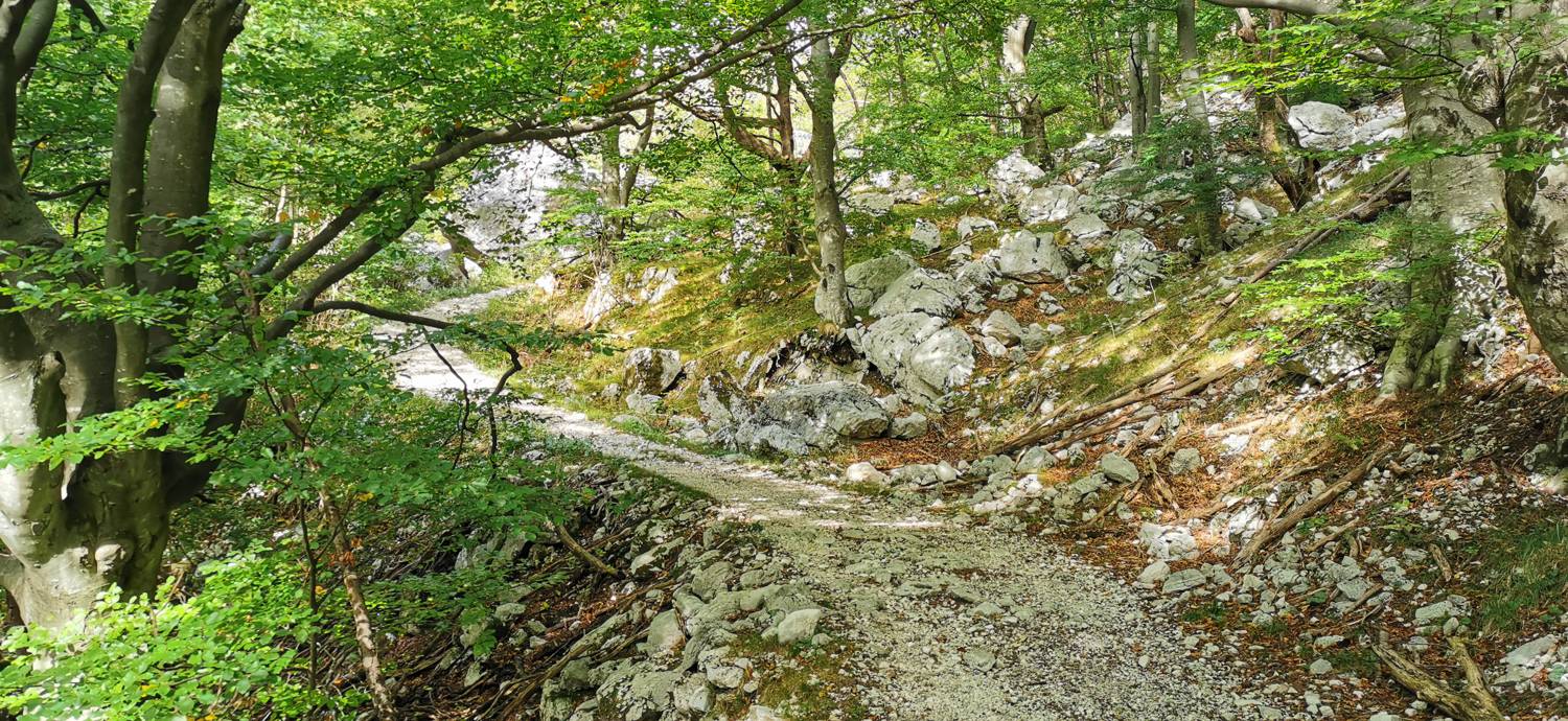 Planina Srednica - Planina Srednica slika 17