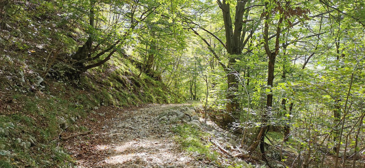 Planina Srednica - Planina Srednica slika 54