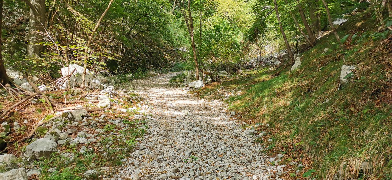 Planina Srednica - Planina Srednica slika 16