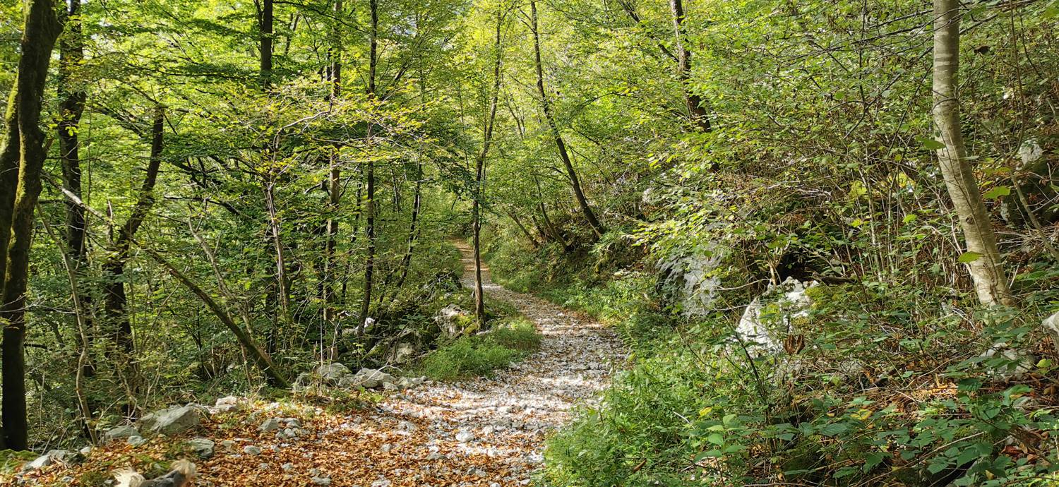 Planina Srednica - Planina Srednica slika 56