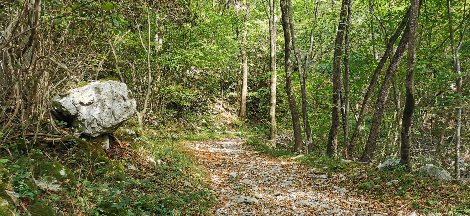 Planina Srednica - Planina Srednica slika 14