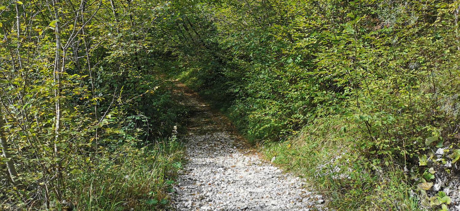 Planina Srednica - Planina Srednica slika 57