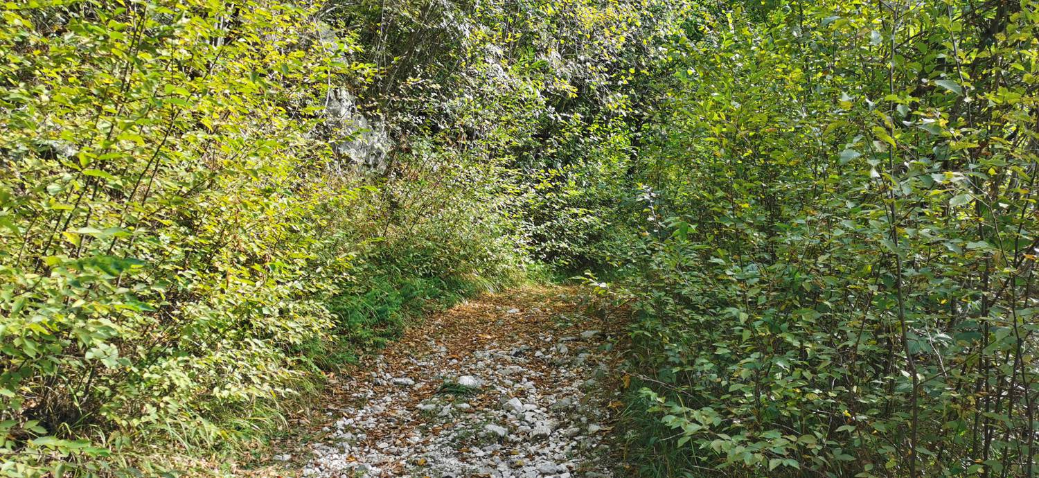 Planina Srednica - Planina Srednica slika 13