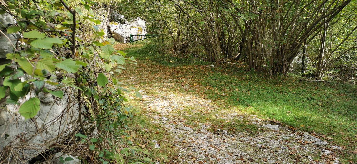Planina Srednica - Planina Srednica slika 12