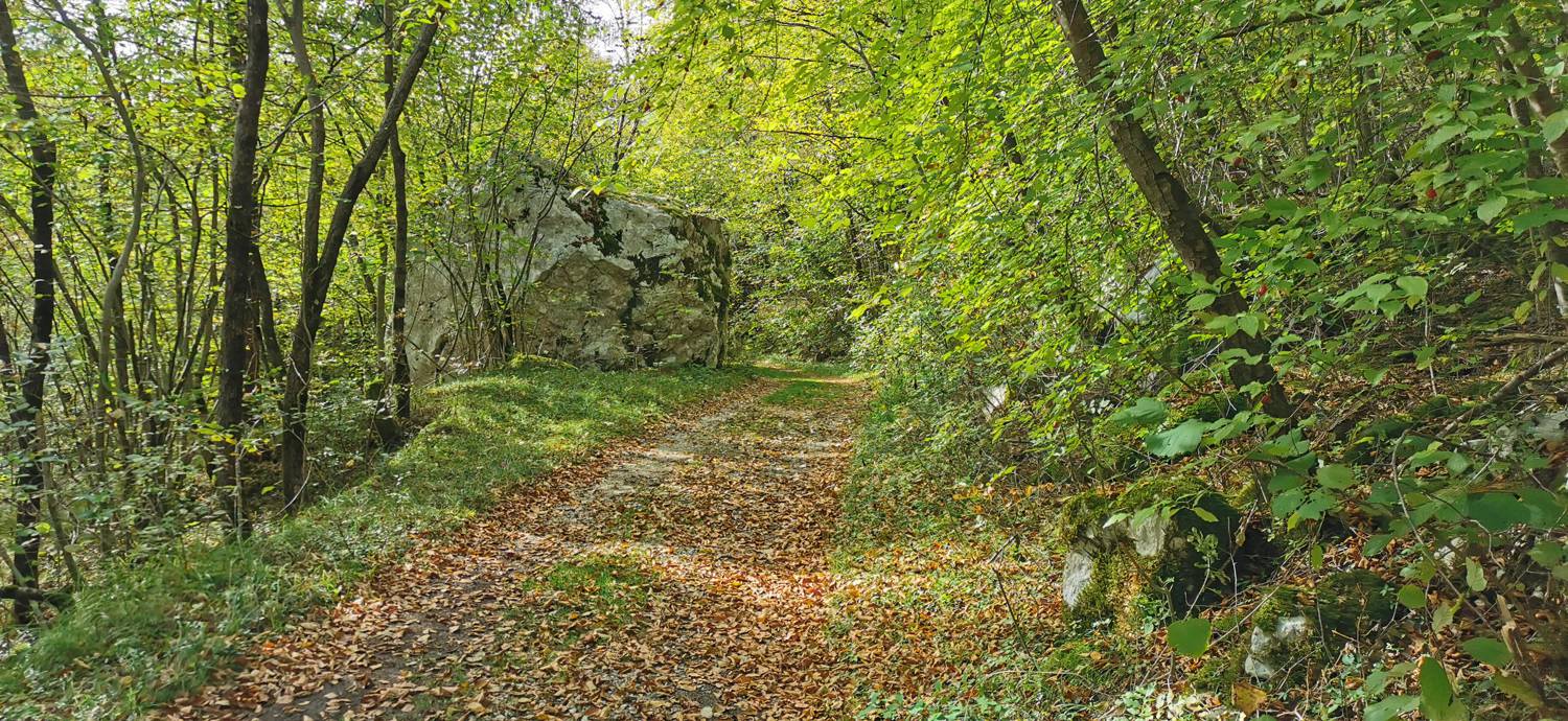 Planina Srednica - Planina Srednica slika 59