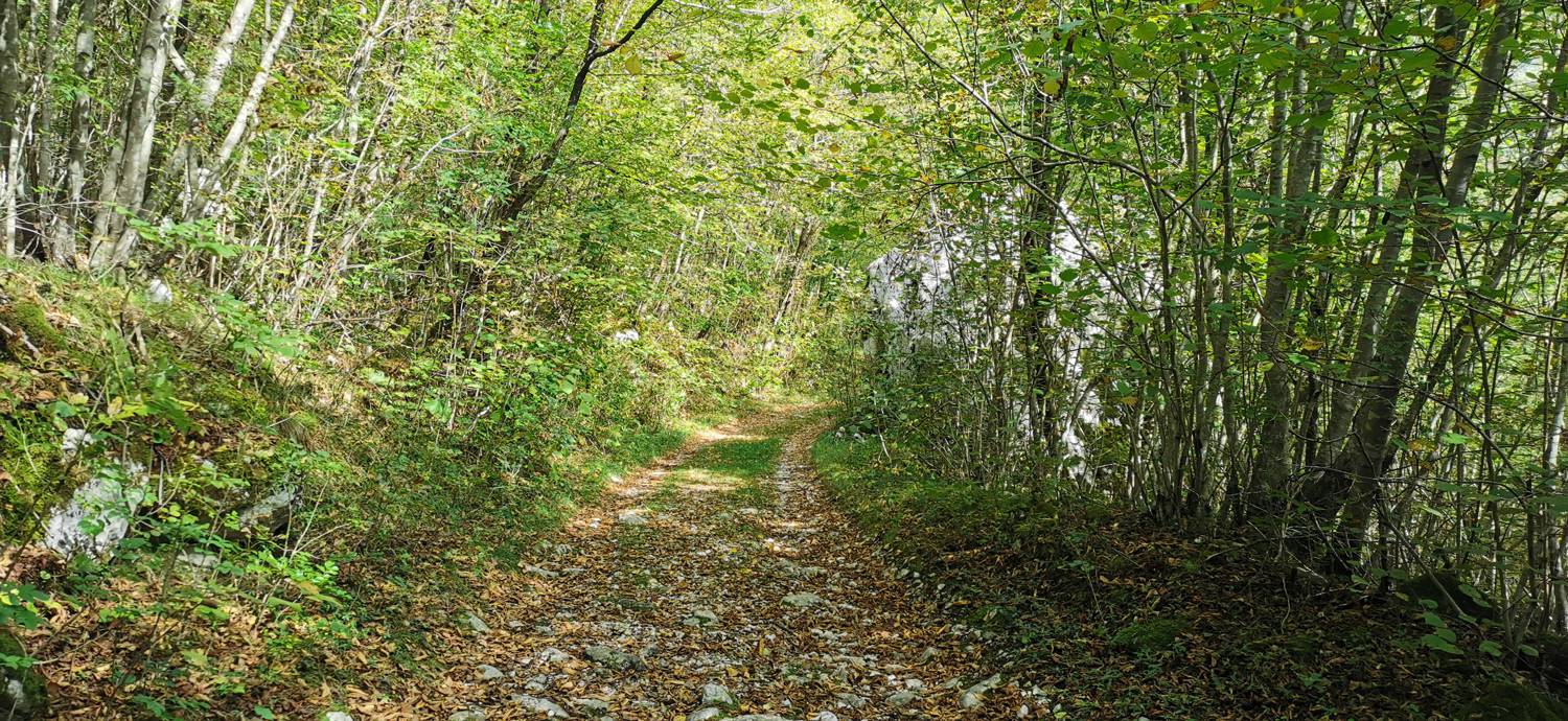 Planina Srednica - Planina Srednica slika 11