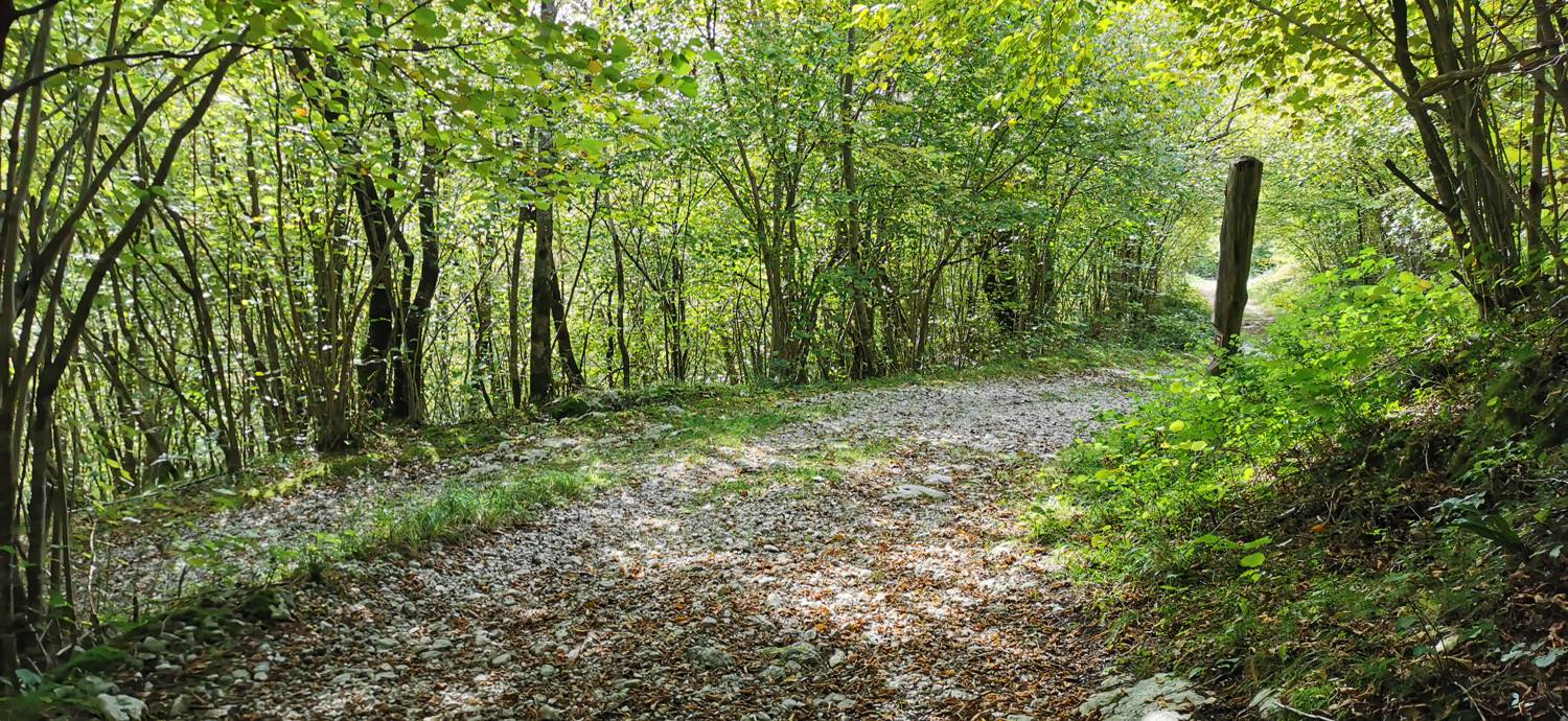 Planina Srednica - Planina Srednica slika 60