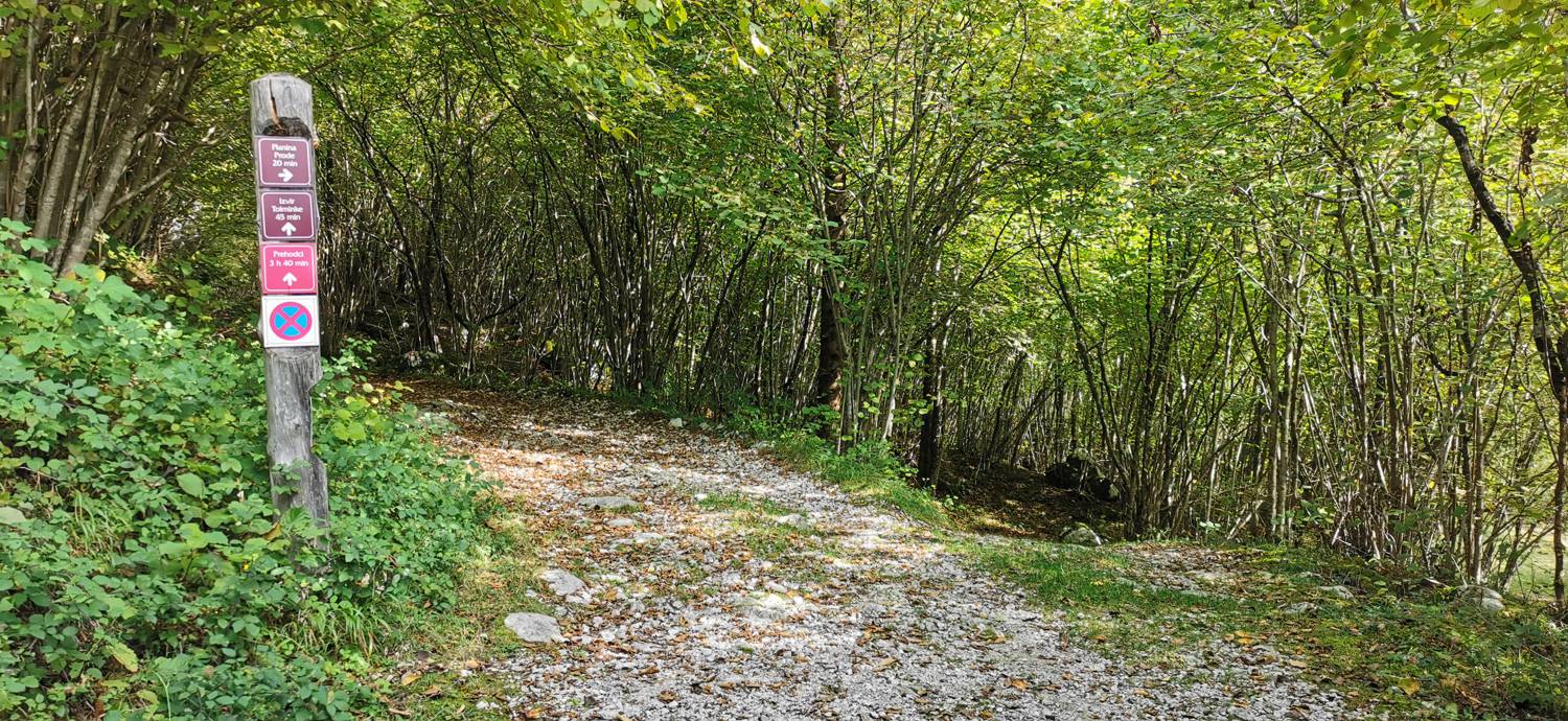 Planina Srednica - Planina Srednica slika 10