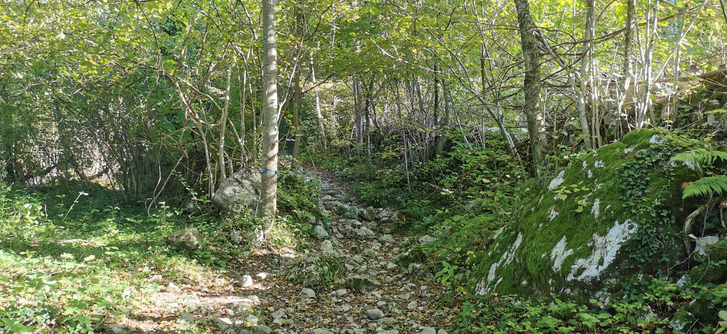 Drežnica - Krn slika 6