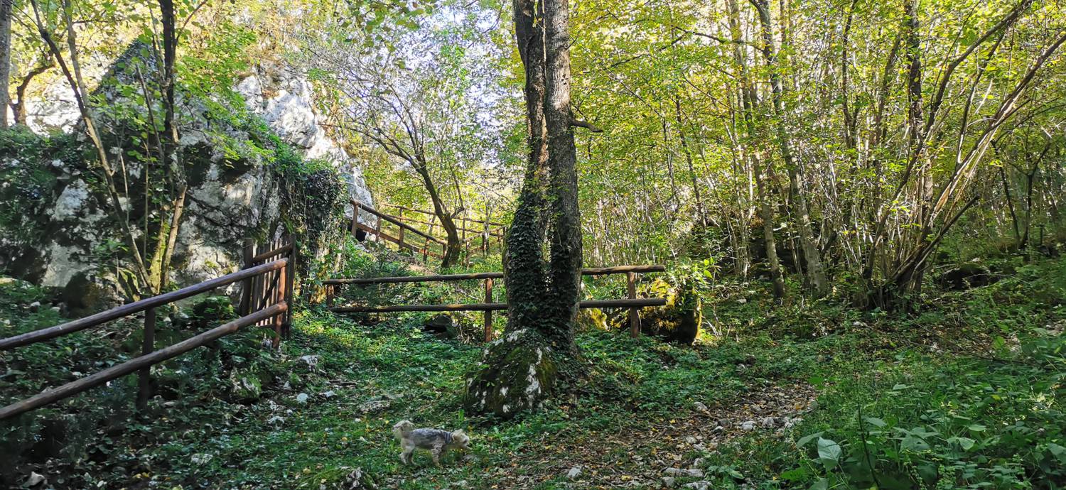 Drežnica - Krn slika 9