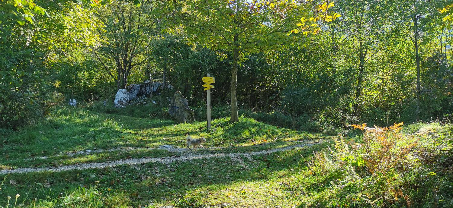 Drežnica - Krn slika 12