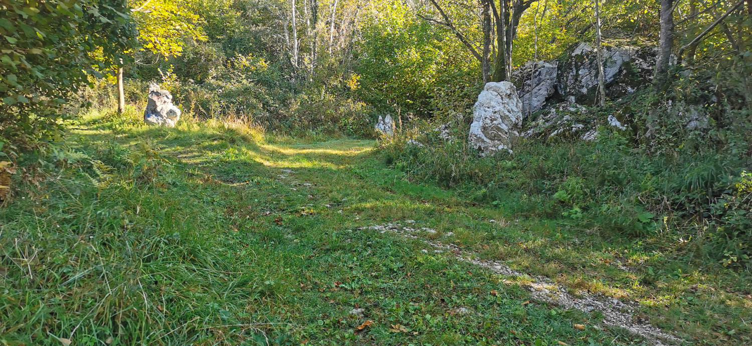 Drežnica - Krn slika 13