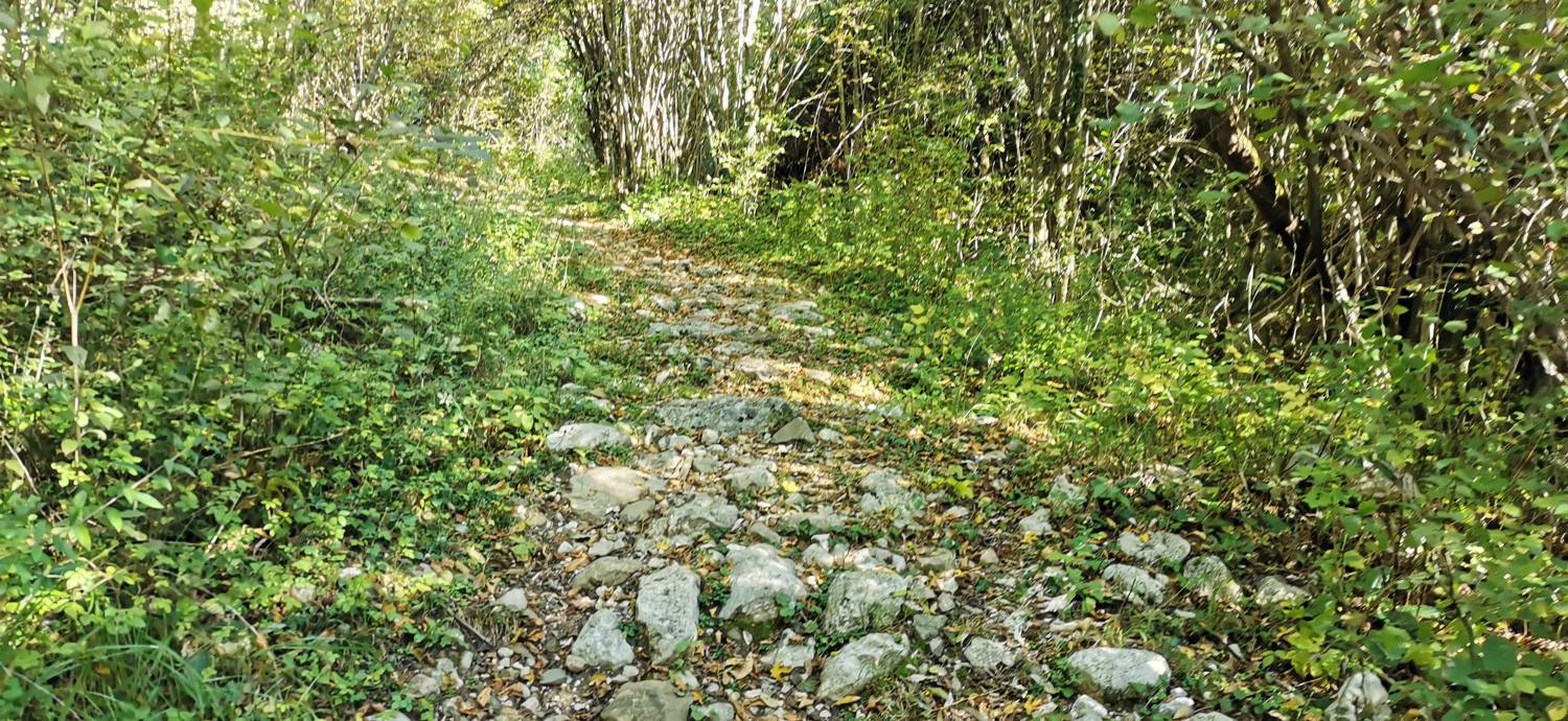 Drežnica - Krn slika 16