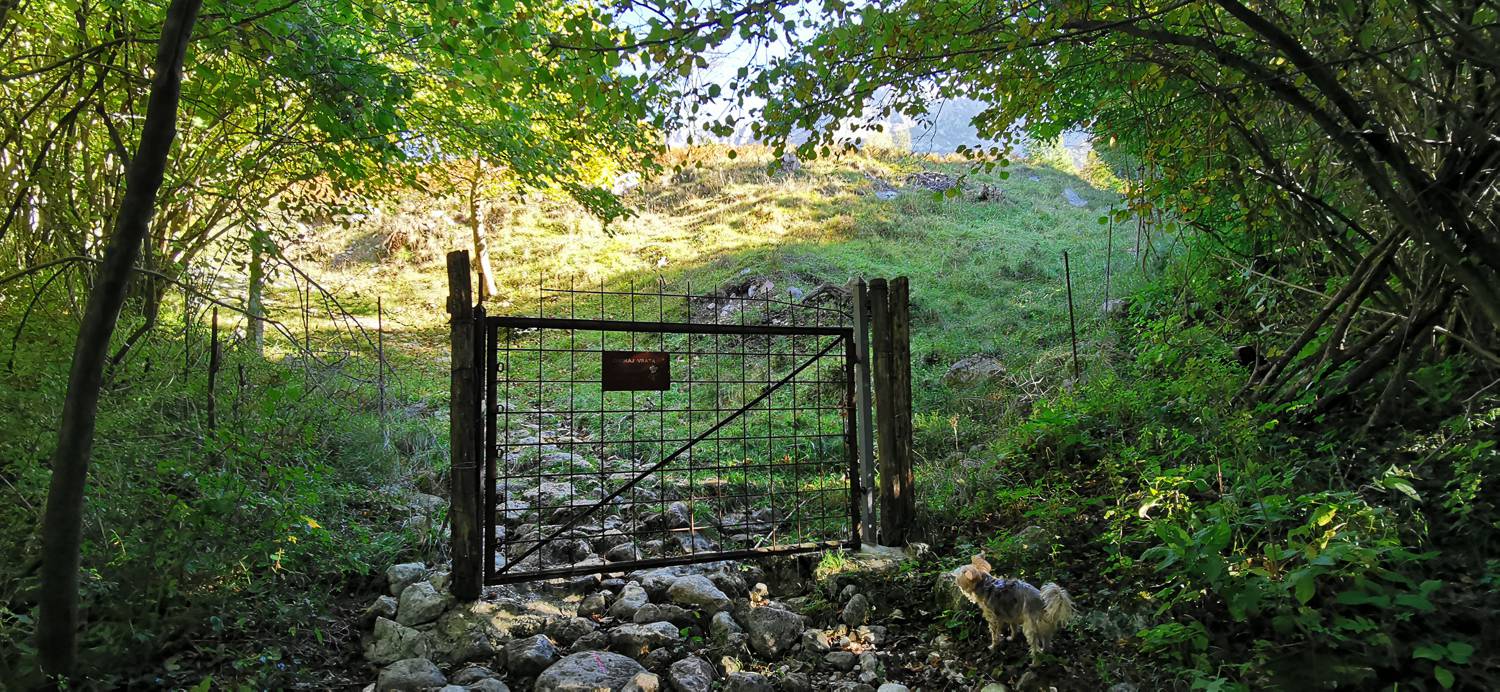 Drežnica - Krn slika 17