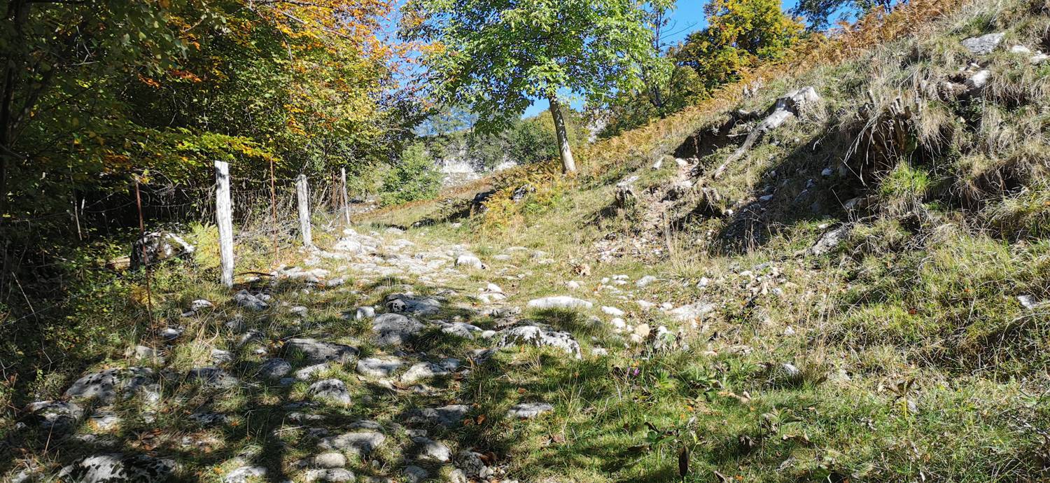 Drežnica - Krn slika 18
