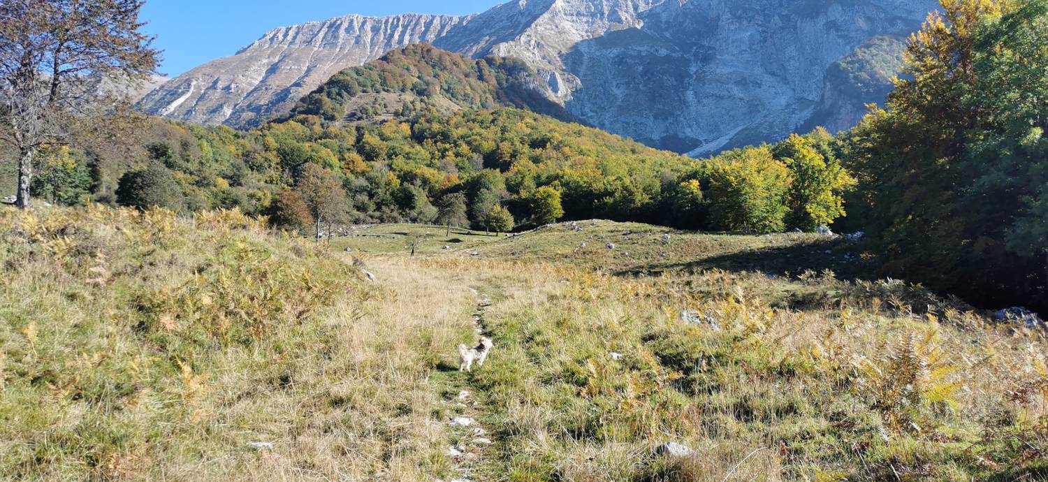 Drežnica - Krn slika 20
