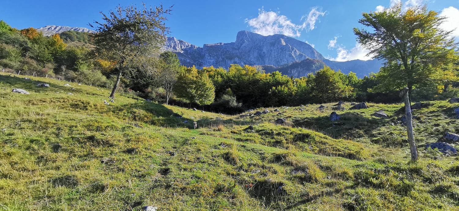 Drežnica - Krn slika 21