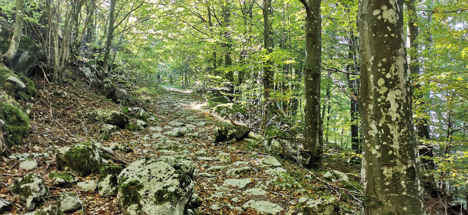 Drežnica - Krn slika 23