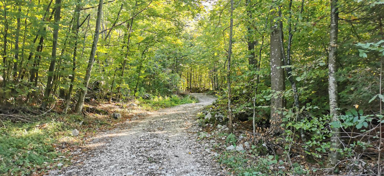 Drežnica - Krn slika 26