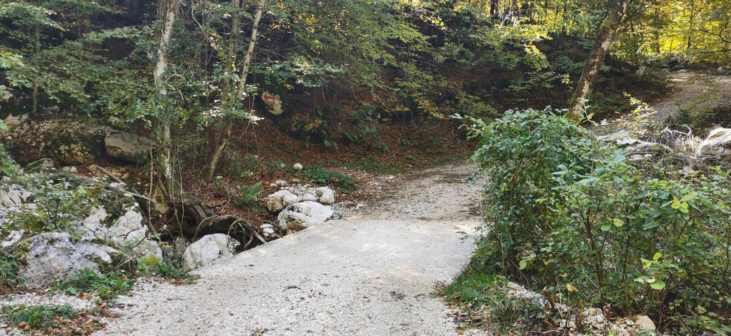 Drežnica - Krn slika 27