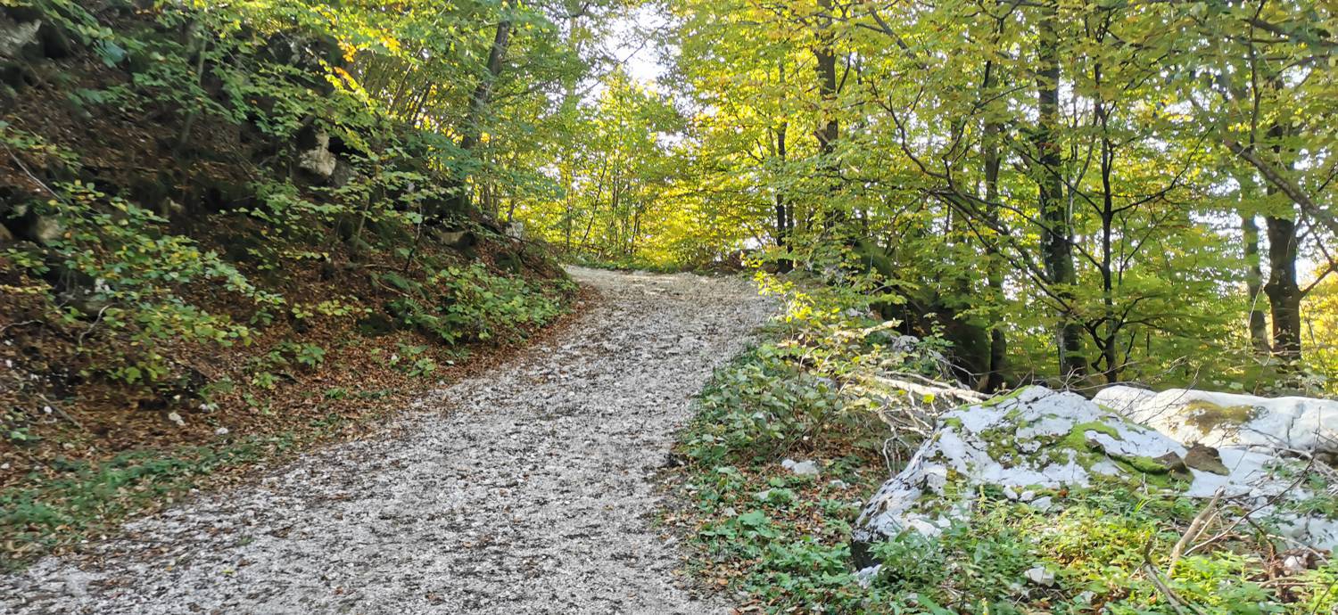 Drežnica - Krn slika 28