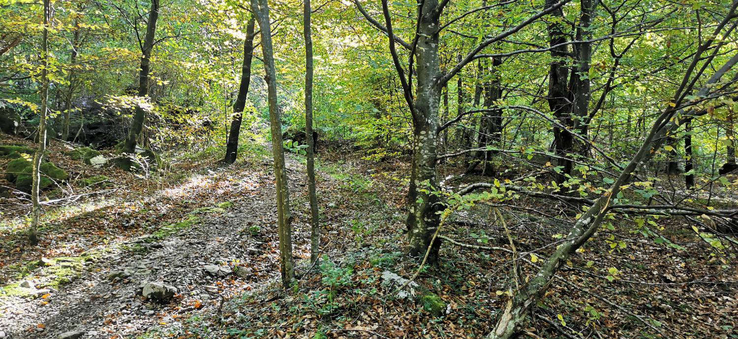 Drežnica - Krn slika 30