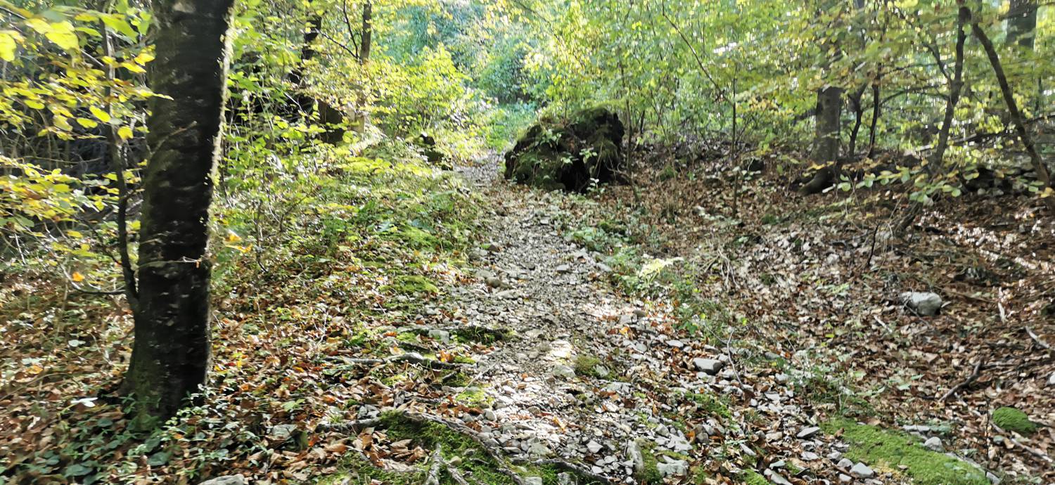 Drežnica - Krn slika 31