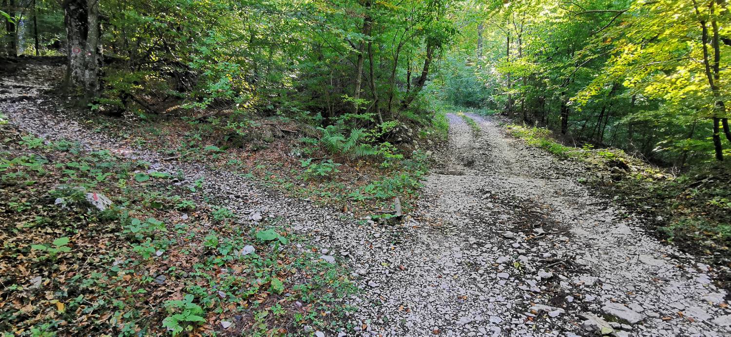 Drežnica - Krn slika 33