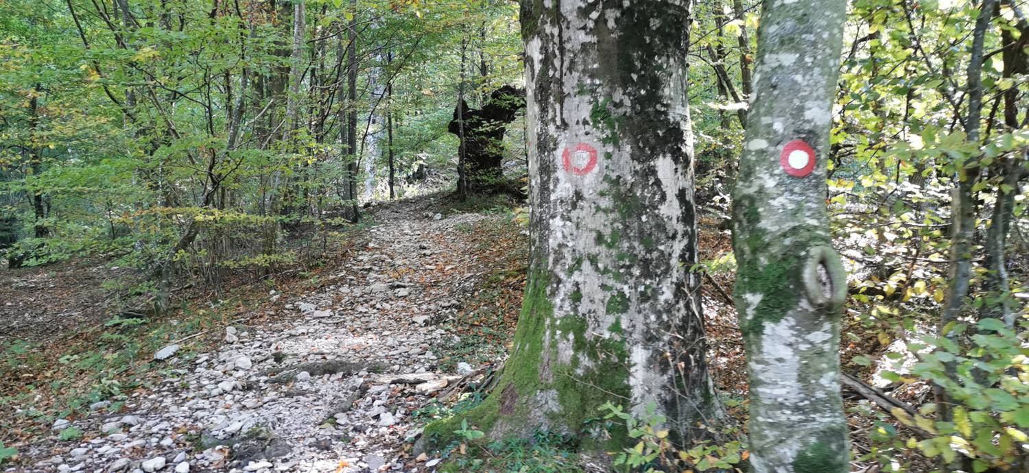 Drežnica - Krn slika 34