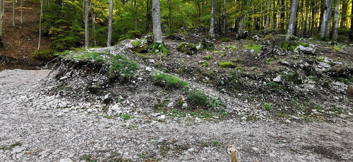 Drežnica - Krn slika 36
