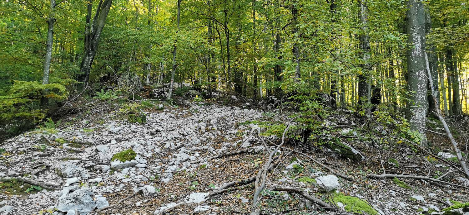 Drežnica - Krn slika 37