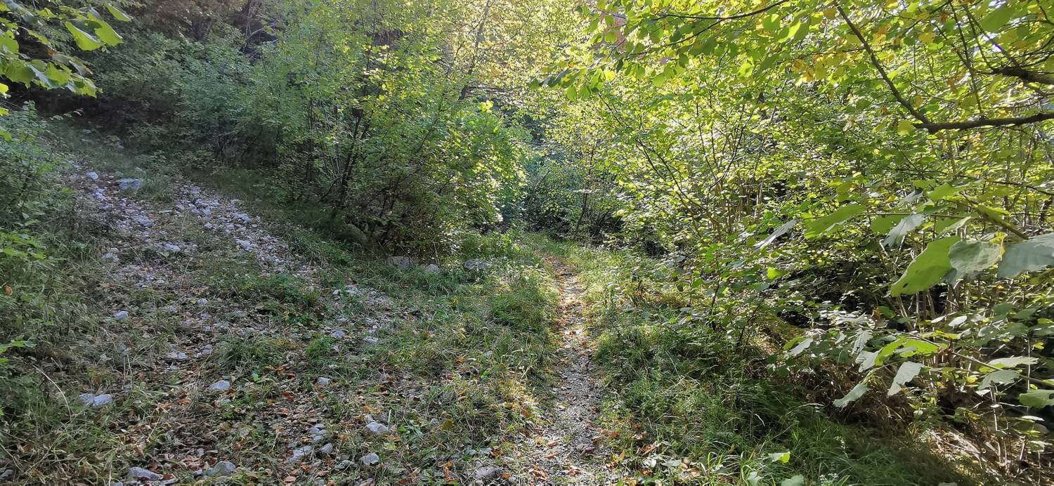 Drežnica - Krn slika 41