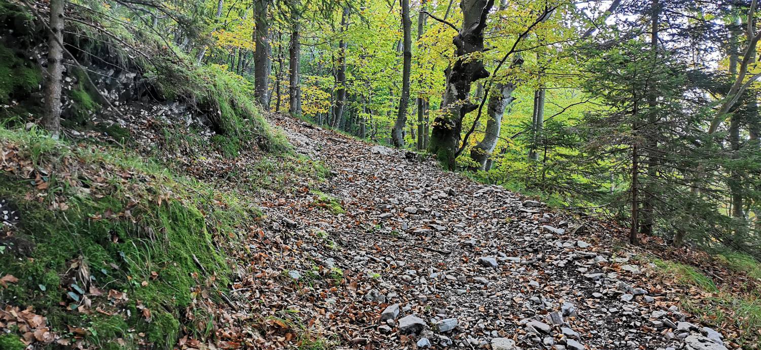 Drežnica - Krn slika 42