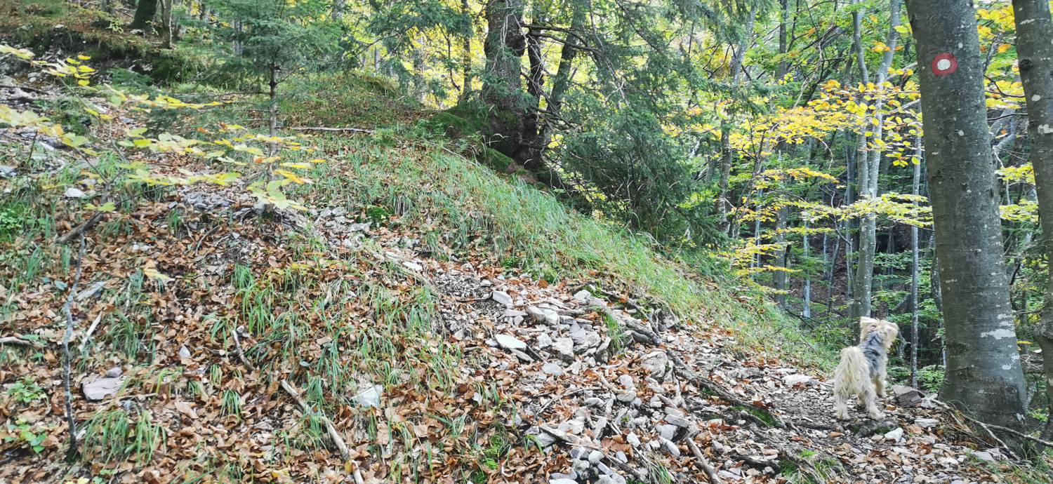 Drežnica - Krn slika 43
