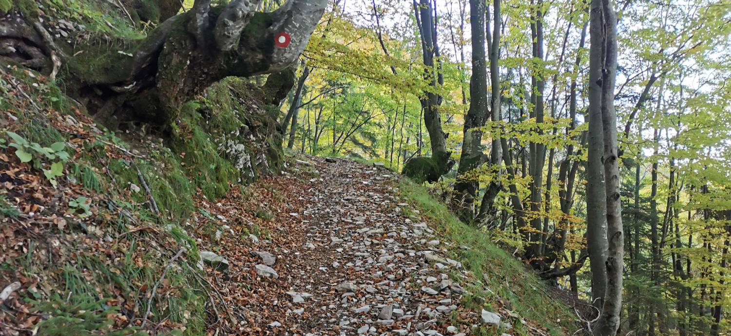 Drežnica - Krn slika 44