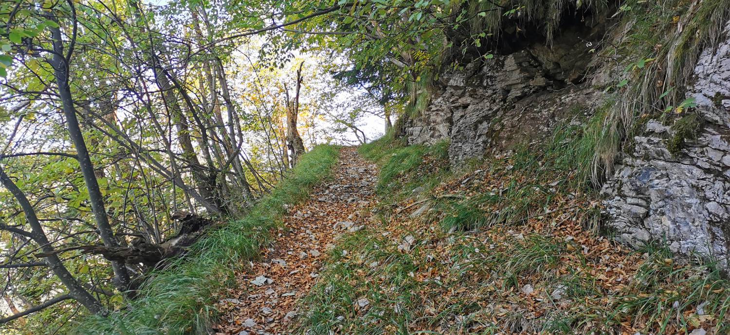 Drežnica - Krn slika 46