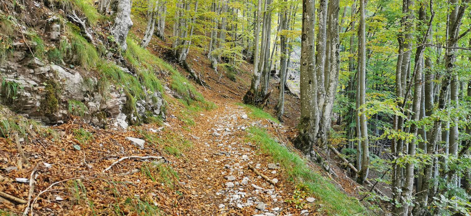 Drežnica - Krn slika 47