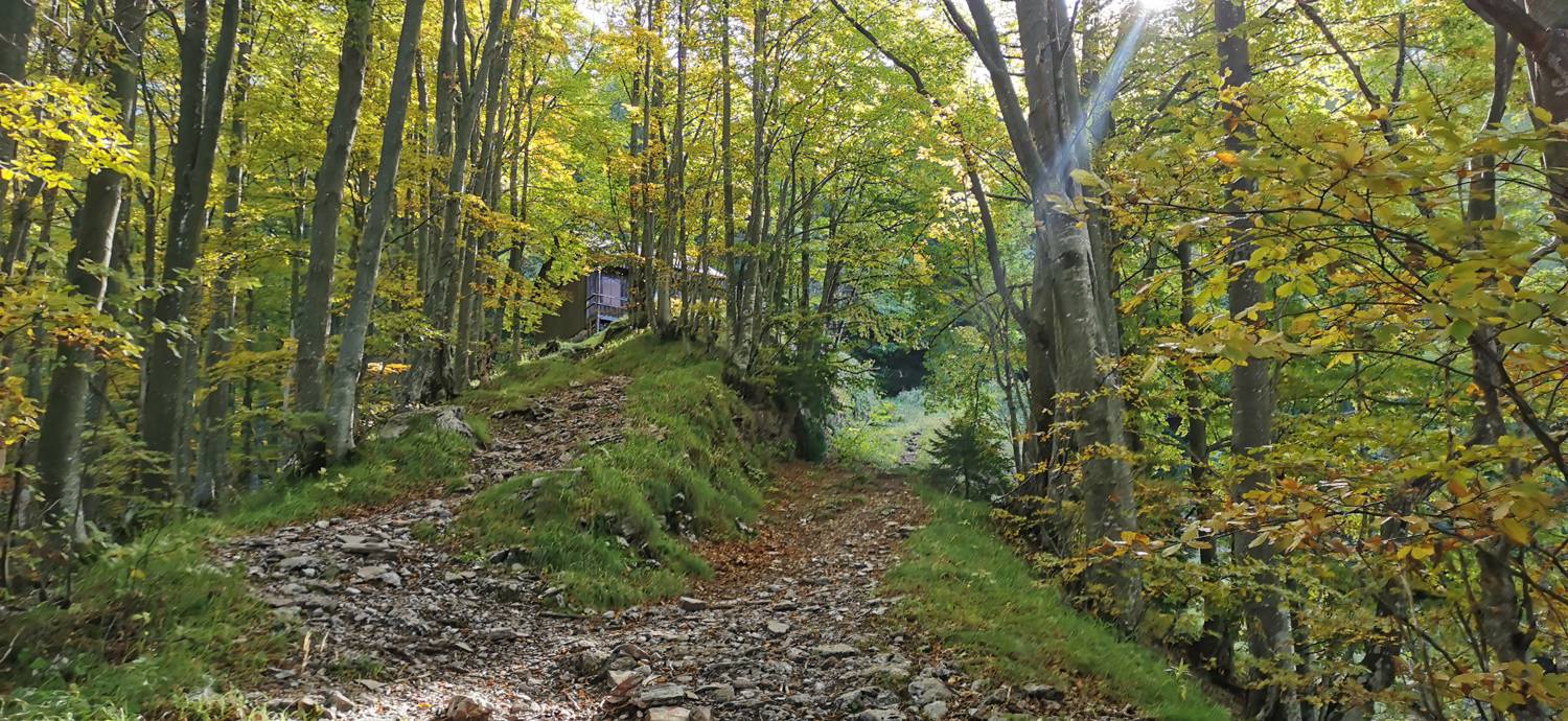 Drežnica - Krn slika 48