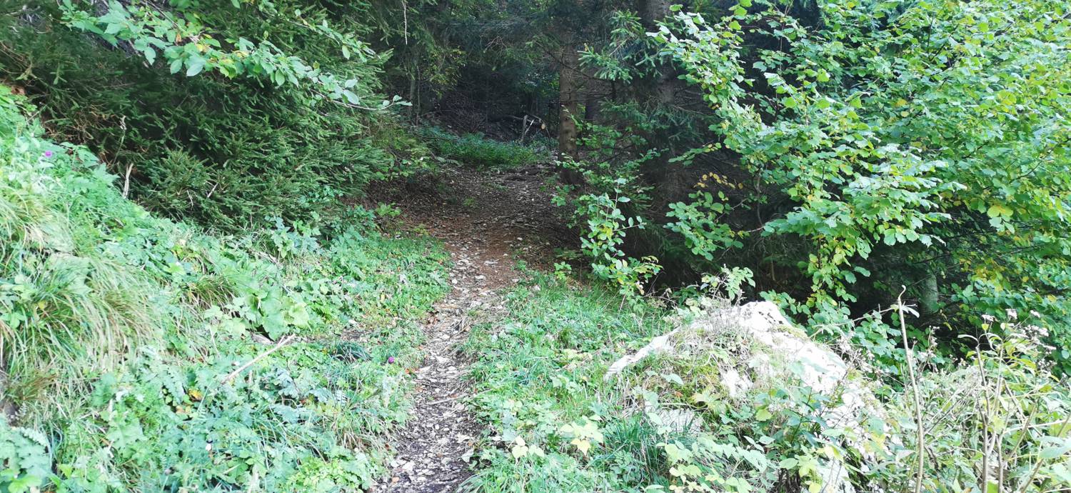 Drežnica - Krn slika 50