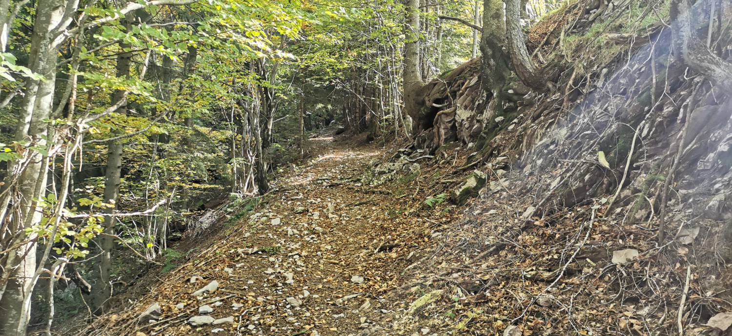 Drežnica - Krn slika 51