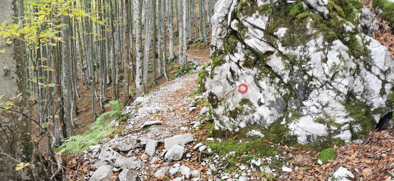 Drežnica - Krn slika 52