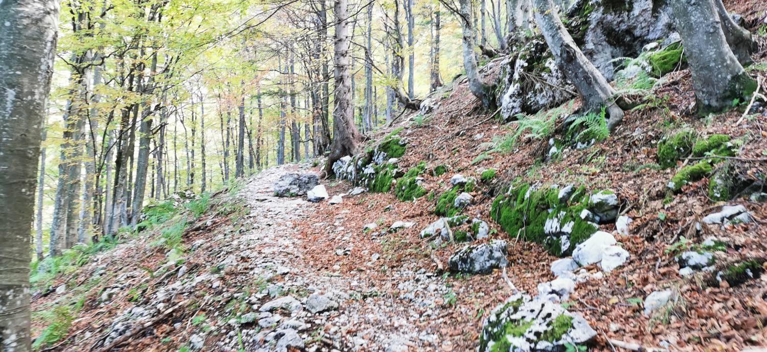 Drežnica - Krn slika 53